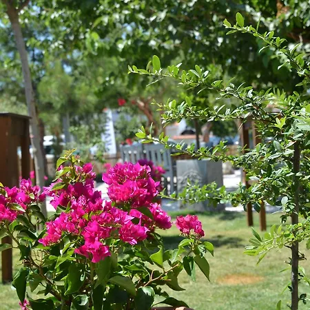 Bed & Breakfast 4 Kapi Butik