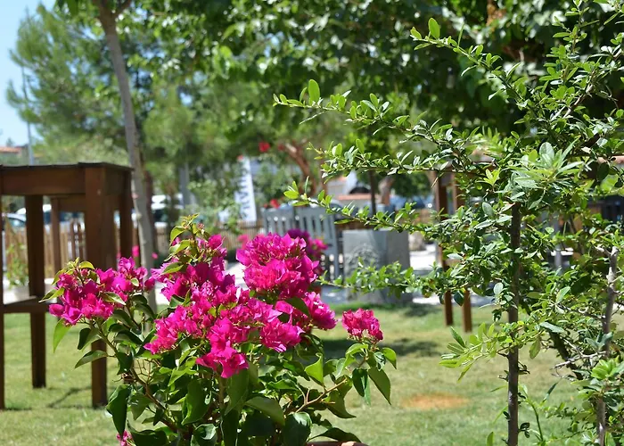 Alojamento de Acomodação e Pequeno-almoço 4 Kapi Butik